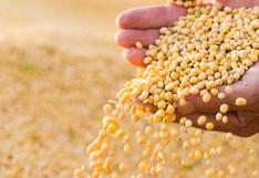 China anunciará pronto nuevas compras de soja de EE.UU.