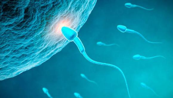 Estudio muestra que la cola del espermatozoide es a la vez un propulsor. (Foto: GDA)