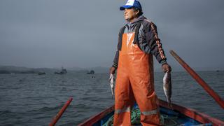 Chimbote: cómo un grupo de pescadores apostó por la sostenibilidad y multiplicó sus ventas