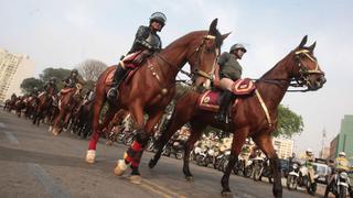 Policía Nacional realizará patrullaje a caballo en zonas rurales y alejadas de Lima