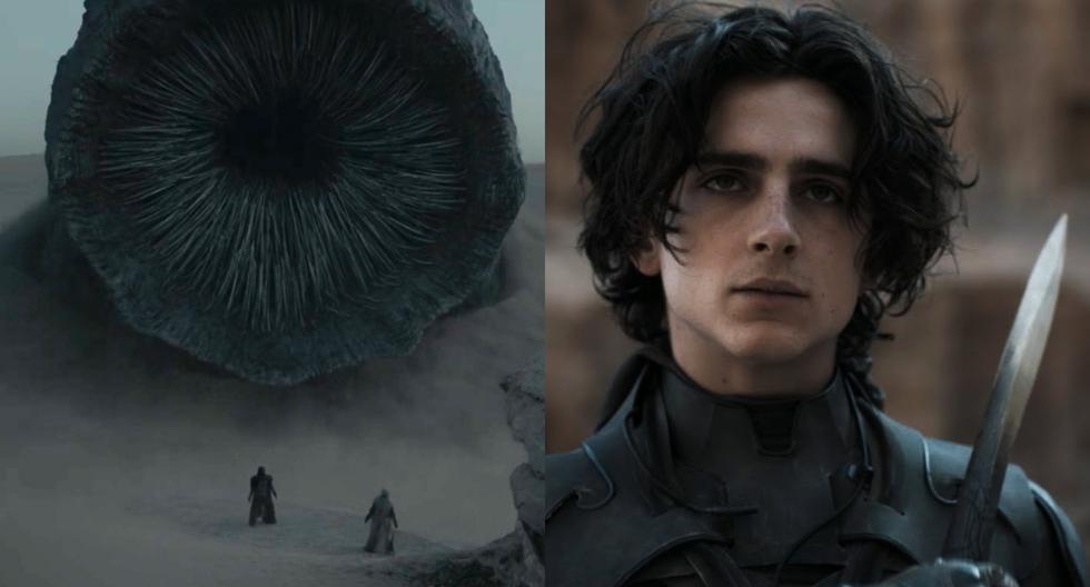 “Dune”: the tragedy of Paul Atreides, the character that Timothée Chalamet brings to the cinema