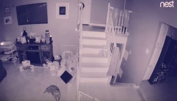 Un hombre vio la cámara de seguridad de su casa en la madrugada del pasado 8 de agosto y se percató de un detalle que lo perturbó | Foto: Captura de video YouTube / Joey Nolan