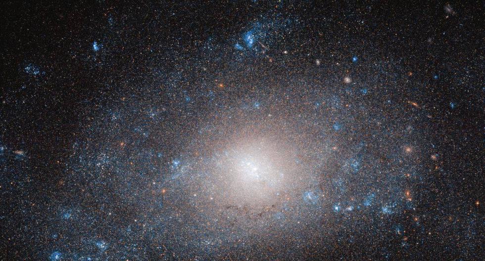 El telescopio Hubble observa una galaxia en el "lado oscuro". (Foto: ESA/Hubble