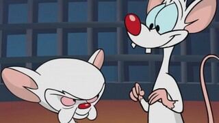 Warner Bros. prepara el regreso Pinky y Cerebro