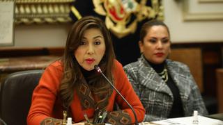 Congreso: Subcomisión dará cuenta de la denuncia constitucional contra Pedro Castillo este viernes 14 