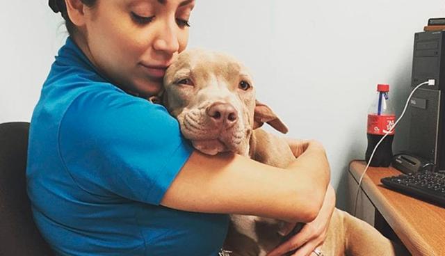 A pesar de no poder escuchar, Toad vive una vida ordinaria como la mayoría de perros según su dueña. (Foto: PEN News)