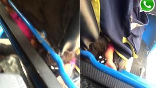 WhatsApp: mototaxista lleva a niña dormida debajo de su asiento