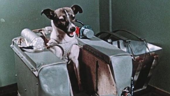 Tras superar las duras pruebas a las que fue sometida, Laika fue la elegida para morir en el espacio y entrar en la historia. (ARCHIVOS RUSOS/BBC)