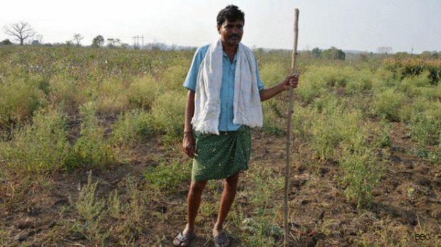 ¿Por qué se suicidan tantos granjeros en la India? - 1