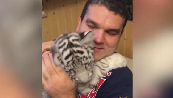 YouTube: familia rusa vive con 10 tigres [VIDEO]