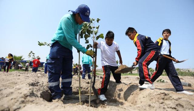 Los 60 estudiantes del colegio Elías Aguirre (VES) tuvieron la oportunidad de aprender –de una manera vivencial– sobre las especies arbóreas. (Foto: Municipalidad de Lima)