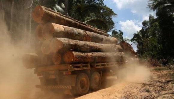 Esta semana la entidad publicó un documento que establece que la legalidad de la madera debe ser acreditada en el proceso de producción y comercialización. (Foto: Reuters)