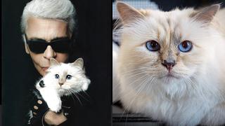 Conoce a la nueva dueña de Choupette, la gata del recordado diseñador Karl Lagerfeld