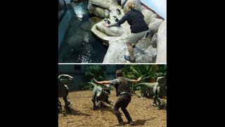 Cuidadores de zoo imitan a Chris Pratt en "Jurassic World"
