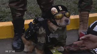 Parada Militar: el público fue sorprendido con policía canino llamado ‘Chato’
