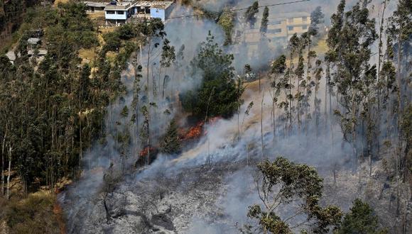 También han acudido Brigadas de Refuerzo Forestal (BRIF) de los cuerpos de bomberos de Quito. Foto: EFE/referencial