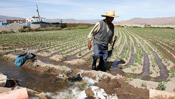 El titular del Miangri dijo que hay un capital de S/300 millones para que Mi Agro entregue créditos a productores agrarios. (Foto: USI)<br>