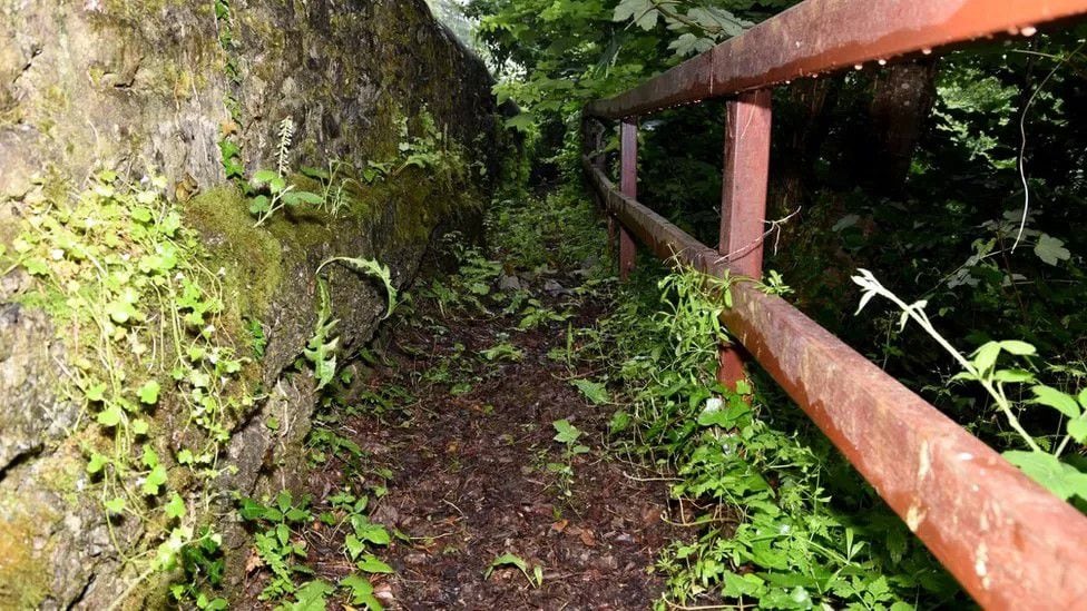 Chong's headless body was discovered in a forest in Devon.  / PA MEAN
