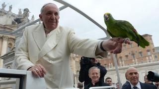 El papa Francisco hace las paces con las aves