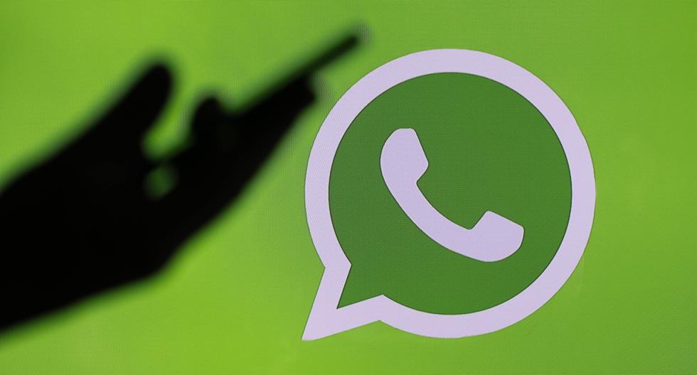 5 recommendations so that the WhatsApp backup does not take up so much space on your cell phone