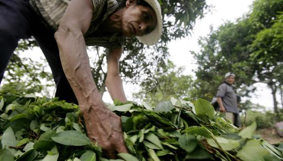 España encarcela 6 meses a boliviano por llevar hojas de coca