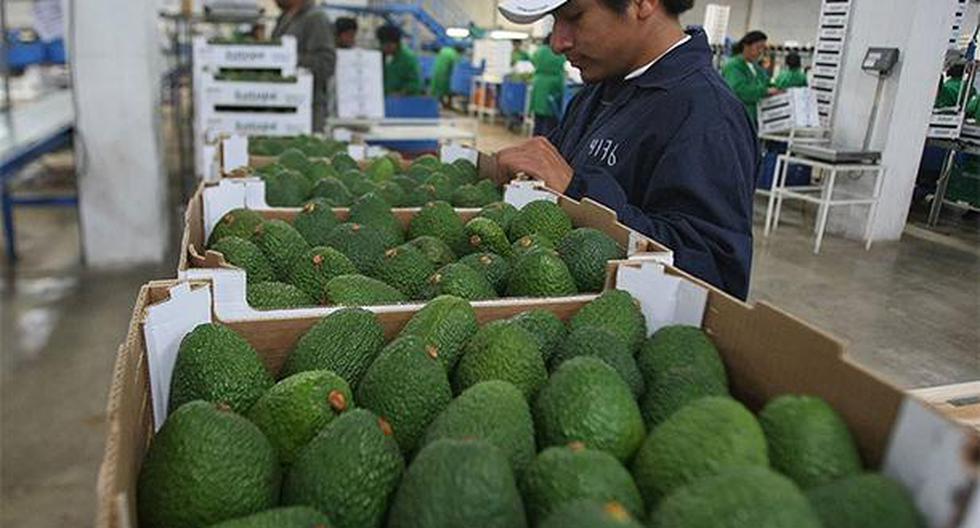 Perú reforzará acceso de nuevos productos agrícolas a mercados de Asia para alcanzar los U$S 7,000 millones en exportaciones agrarias. (Foto: Agencia Andina)