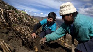 El canon minero beneficia más a los hogares ricos y de las áreas urbanas