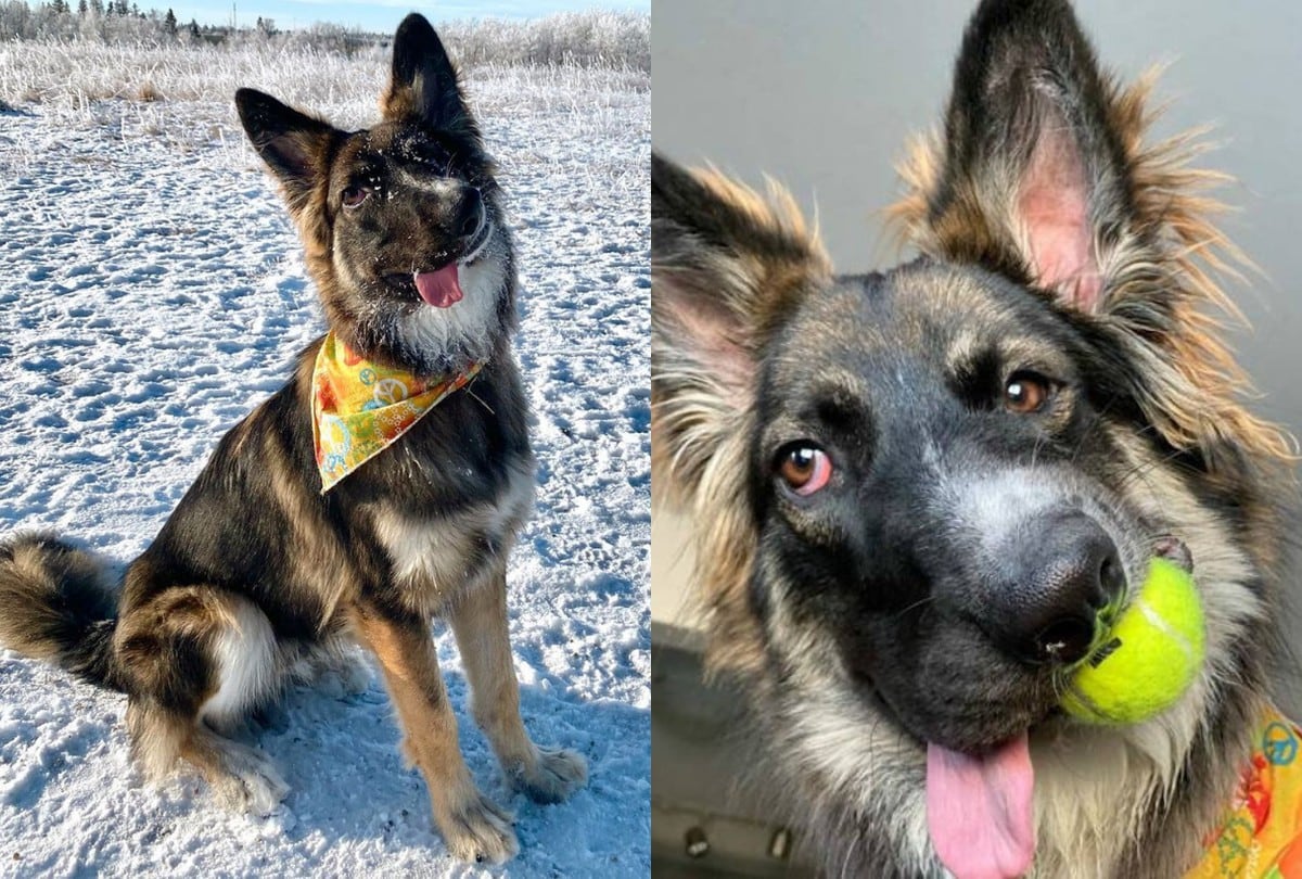 Brodie tiene deformado el lado izquierdo del rostro y ha perdido la visión en un ojo. (Foto: Instagram)