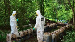 Desmantelan 'narcolaboratorios' con 50 toneladas de droga cristal en México