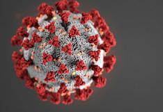 COVID-19 | El coronavirus puede sobrevivir hasta 28 días en algunas superficies, según estudio 