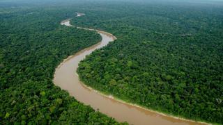 Indígenas vivieron durante 5.000 años en la Amazonía peruana sin perturbar la naturaleza