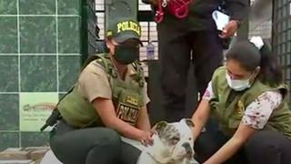 Cercado de Lima: hombre fue captado pateando a su perro en patio de condominio