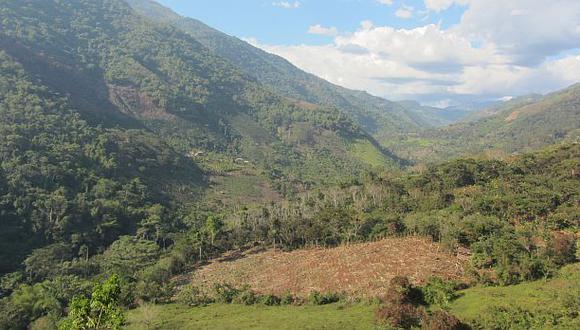 Cajamarca: lluvias dejaron pérdidas de S/ 7 millones en el agro