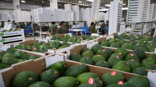 Se vendieron más de US$ 900 mlls. en productos agrícolas