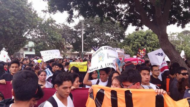 Surco: alumnos de universidad Villarreal marcharon a la Sunedu - 4