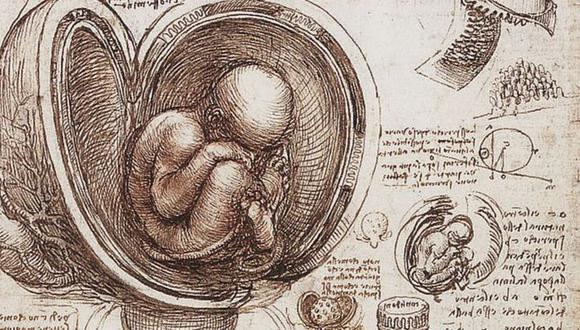 De todos los famosos estudios anatómicos de Leonardo da Vinci, aquellos vinculados al corazón fueron los más relevantes para la ciencia. (Foto: Getty)