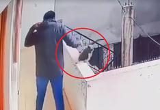 Maltrato animal en Juliaca: sujeto empuja a gato desde un quinto piso y le ocasiona la muerte | VIDEO 