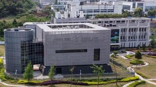Por qué el laboratorio de Wuhan está en el centro de una controversia mundial por el coronavirus