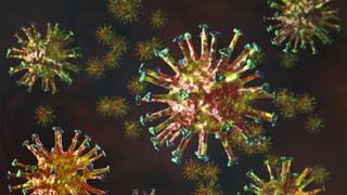 Coronavirus: qué son los anticuerpos monoclonales y por qué podrían ser una alternativa contra el COVID-19 hasta que haya vacuna