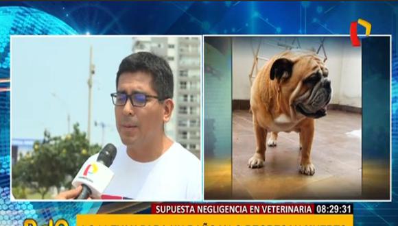Carlos Paredes, dueño de un bulldog, denunció presunta negligencia contra una veterinaria luego que su mascota muriera cuando lo llevó para que le realicen un servicio de baño medicado. (Captura: BDP)