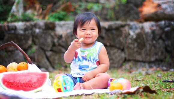 Los niños no deben ingerir snacks como papitas, frituras y alimentos chatarra, sino darle la bienvenida a las frutas y verduras. (Foto: Pixabay)