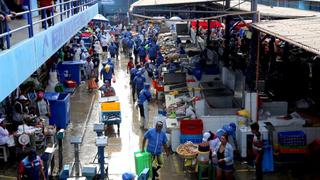 Terminal del Callao comercializará más de 500 toneladas de pescado