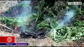 Policía quema 2 mil plantones de marihuana en Yauyos