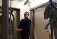 Jurassic World: Chris Pratt fue víctima de una cruel broma 