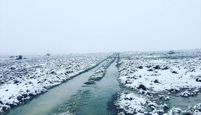 Inusual nevada sobre la sabana de Sudáfrica deja sorprendentes imágenes. (Instagram | kittyviljoen)