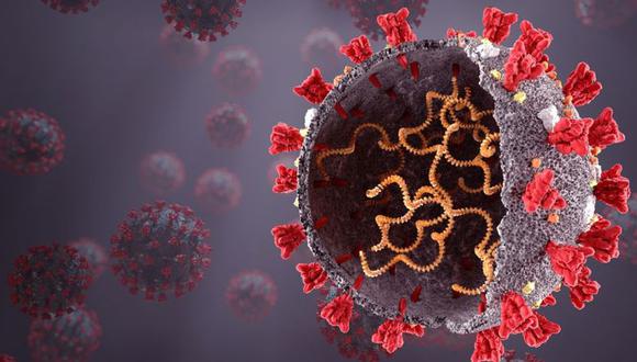El virus SARS-CoV-2. (Foto: Shutterstock).