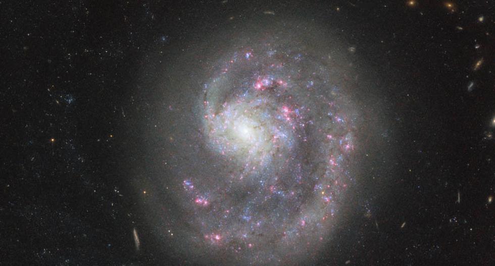 NASA y la galaxia con el 'brazo amputado'. (FOTO: ESA/Hubble and NASA)