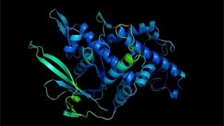 Científicos resuelven uno de los grandes misterios de la biología “casi al completo” 