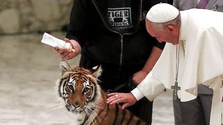 El papa Francisco se pegó un susto ante un tigre de bengala