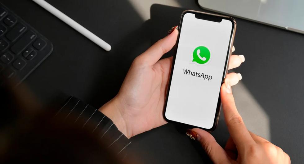 WhatsApp: qué hacer si no encuentras una foto en la app de iPhone |  truco 2023 |  nda |  nnni |  DATOS